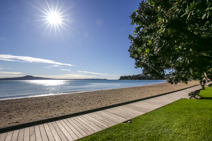 Enjoy the sun along accessible paths on Tāmaki Drive