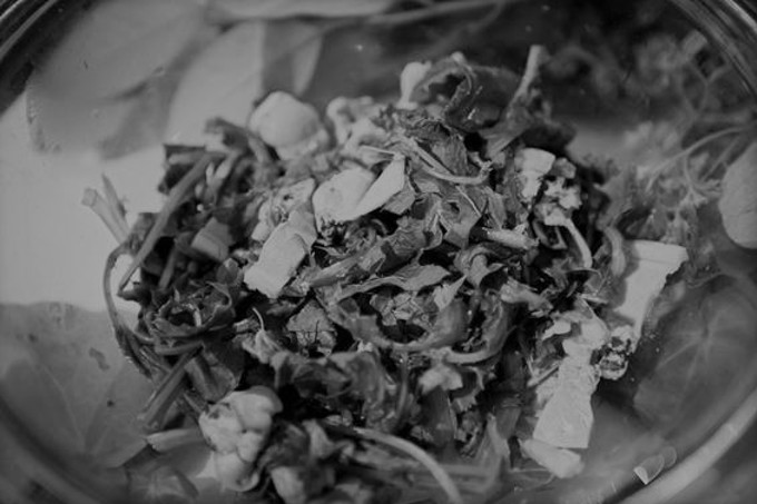 Heritage Festival Diary Food Hangi Masters (2)