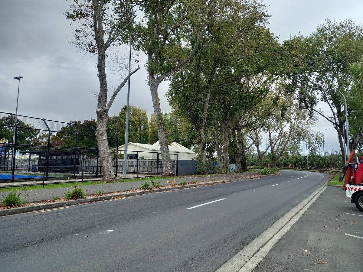 A plan for trees on Somerset Road OurAuckland