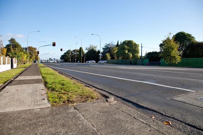 Auckland Council reviews regional approach to weed management_image 2