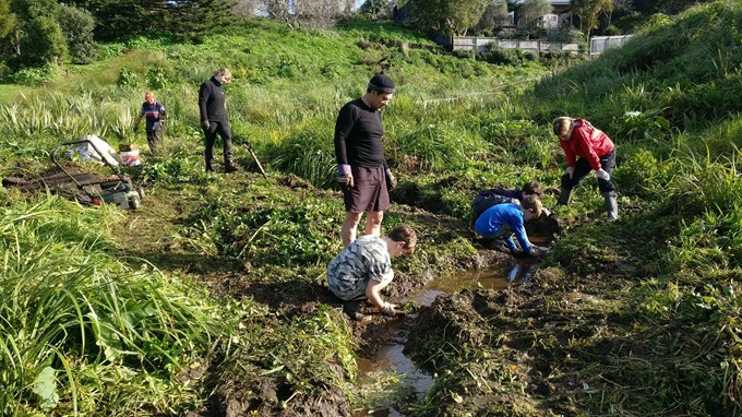 Community garden brings locals together in Onehunga