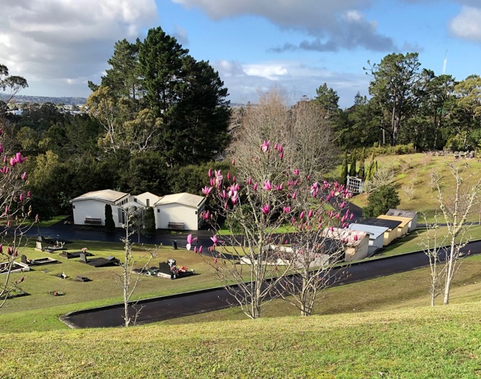 Behind the Scenes Waikumete (1)