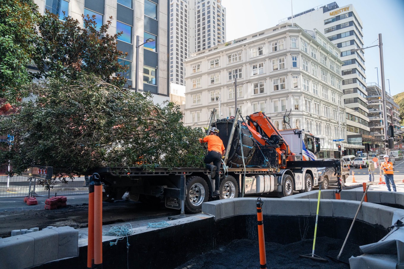 Greening of Te Hā Noa begins as 11 native trees and 900 plants arrive in Victoria Street