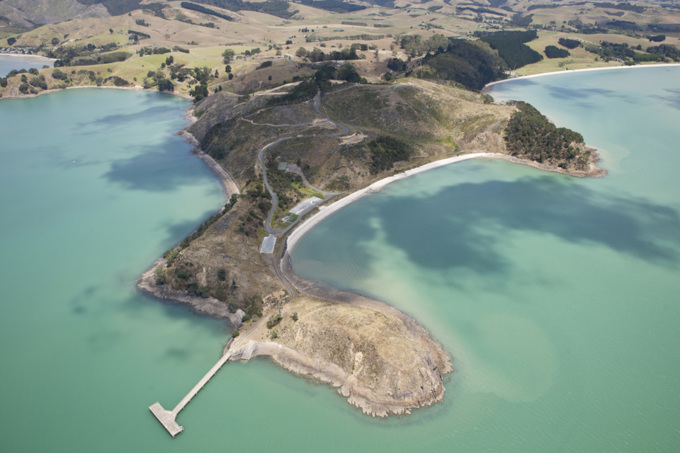 Need a bush fix? Here’s your Waitākere alternatives (4)