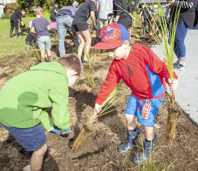 Waiuku Trails Opening 6