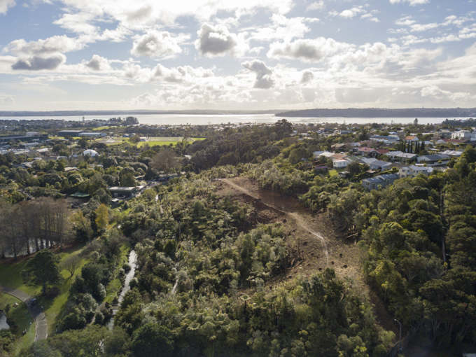 Western Springs Forest track access