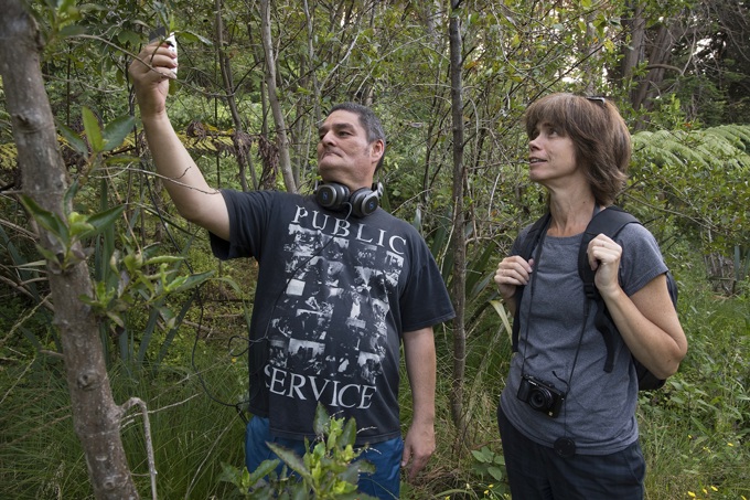 Adventurous artists sought for Artist in Residence programme (2)