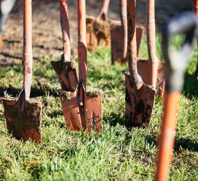 generic planting day picture_husmnjic.jpg