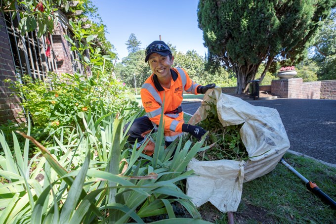 Local board invests to rid gardens of common weeds