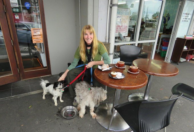 Doggy dining in Auckland