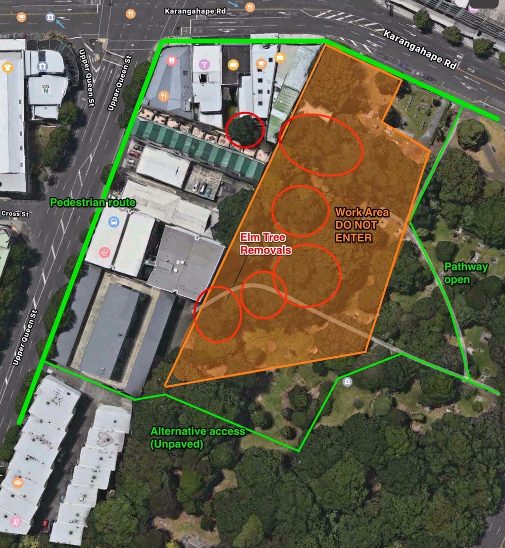 Removal of diseased elm trees begins at Symonds Street Cemetery (1)