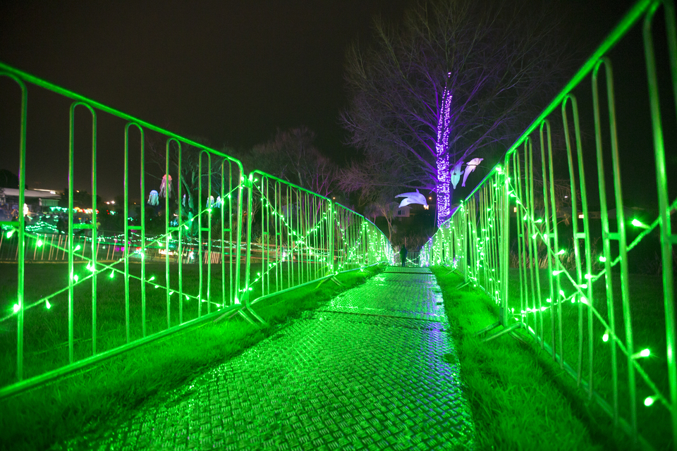 Te Ara Rama Matariki Light Trail in Glen Innes.