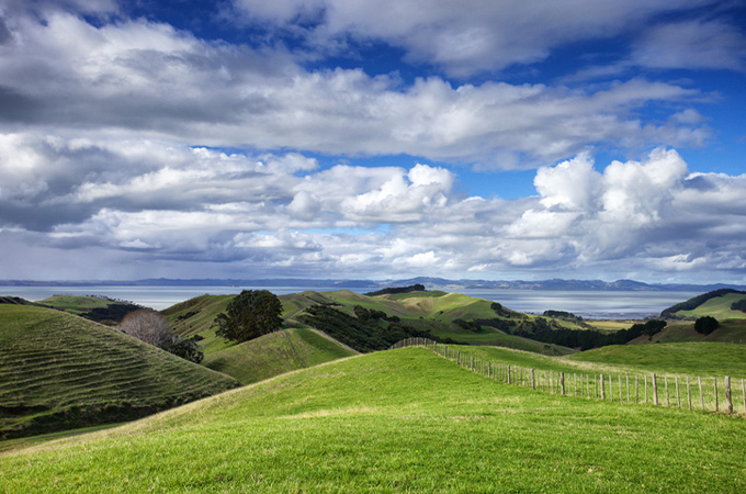 Best Auckland walks reopen for summer - OurAuckland