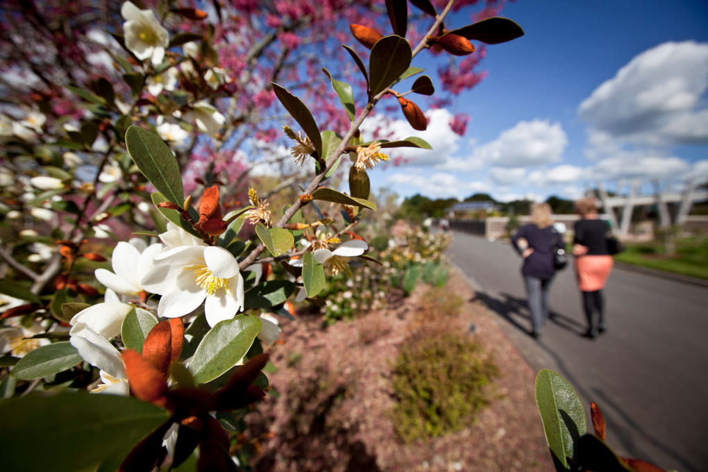 spring guided walk_kyipzvt3.jpg