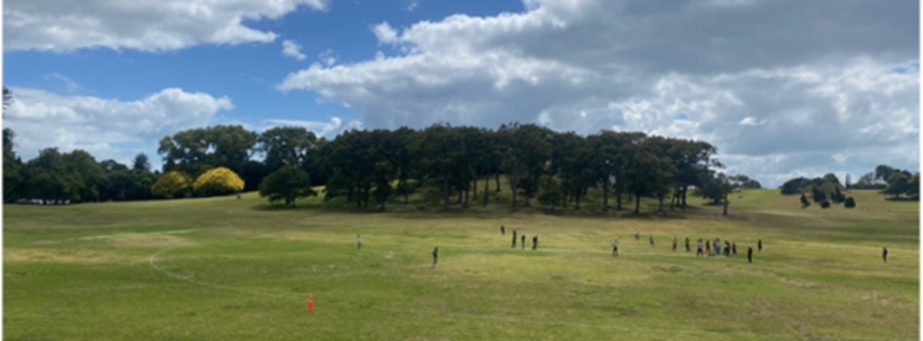 Domain Trial Site 2