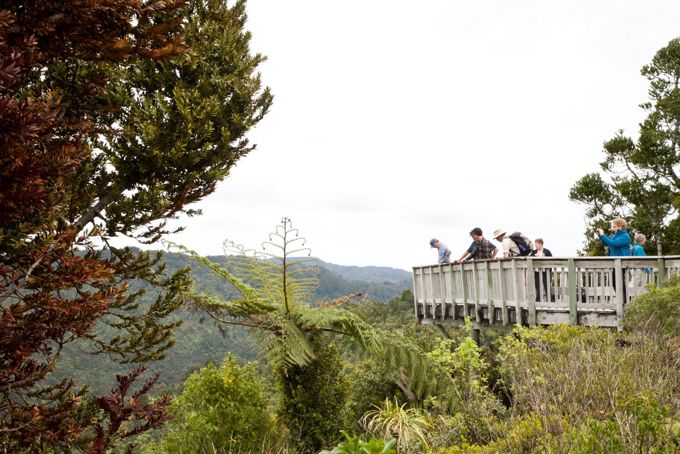 Waitakere Ranges Arataki lookout