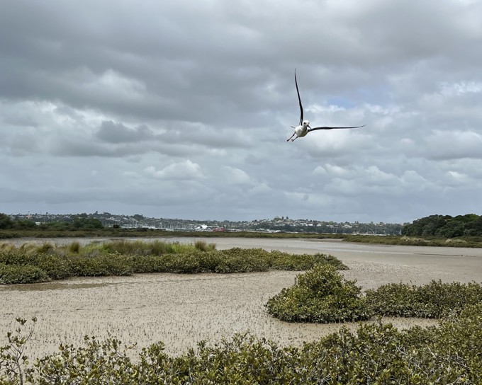 20221106 001130580 Ios