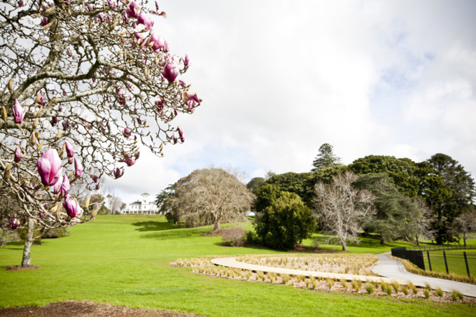 Whats happening at Monte Cecilia Park 01