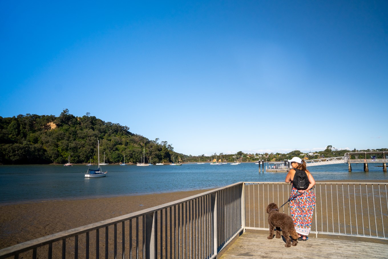 Dog and owner at Hobsonville Point Path.