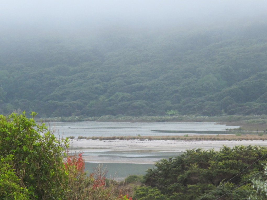 Te Matuku Bay.jpg