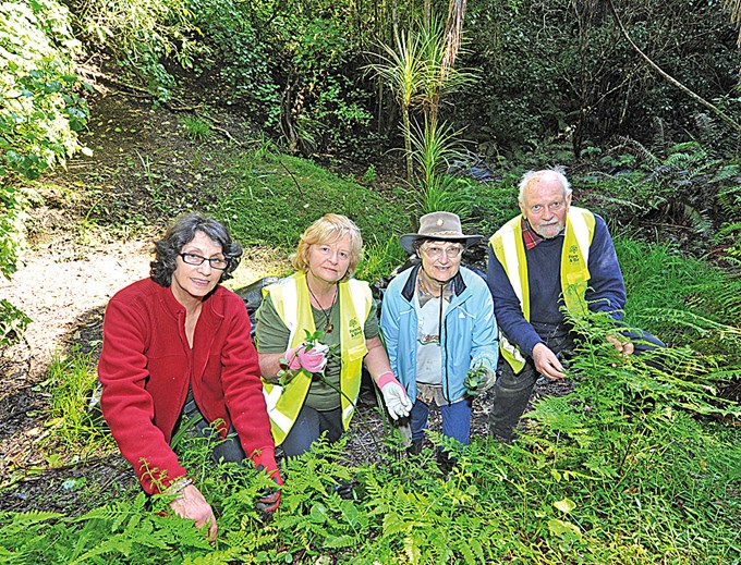 Volunteers rescue Kōwhai Park from foreign invaders