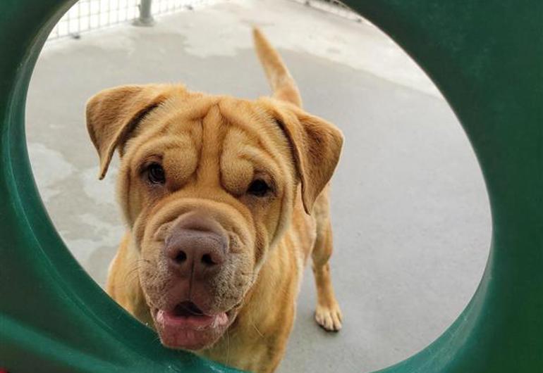 80937Ff4 9Dd1 4B67 B80e E47375d65b45