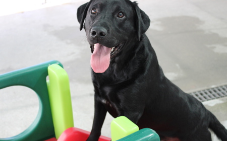 Batman (ON HOLD) tile image