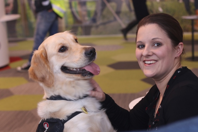 Maggie the Mobility Dog in training 1.JPG