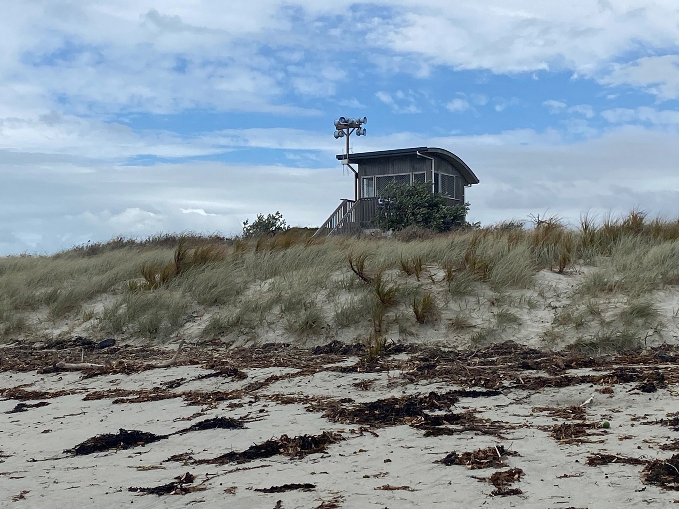 Tsunami siren test signals beginning of daylight saving OurAuckland