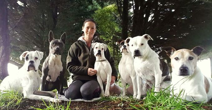 Get to know us: Auckland Animal Shelters