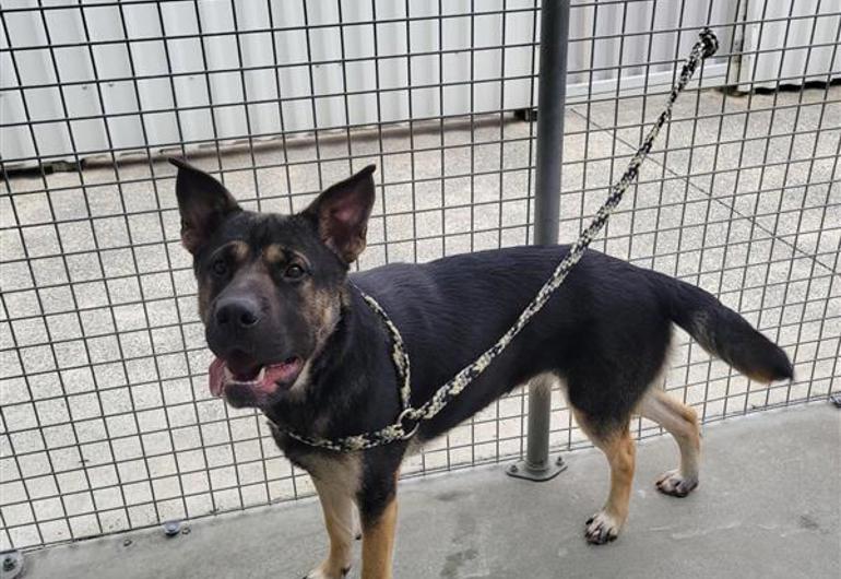 Ae4a3e00 De54 4B75 Bf30 25137288735F