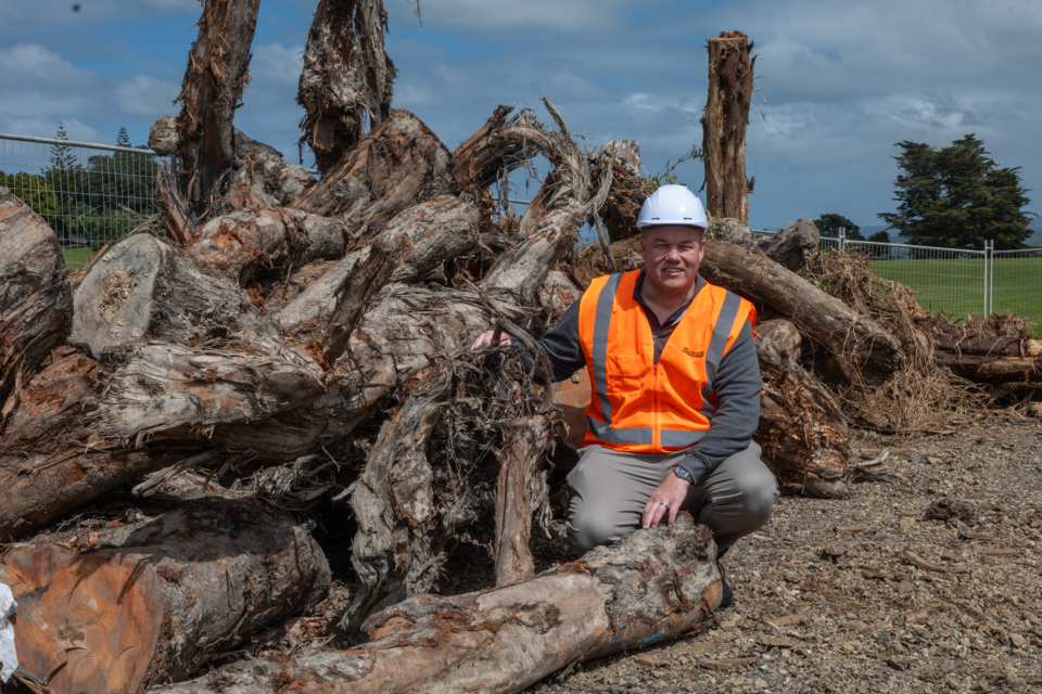 Trees brought down in this year's cyclone are being put to use to create living environments, rather than being dumped, chipped or turned into firewood.