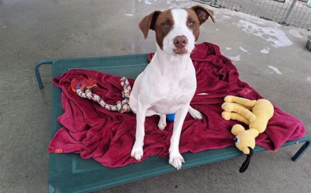 Margaery (ON HOLD) tile image