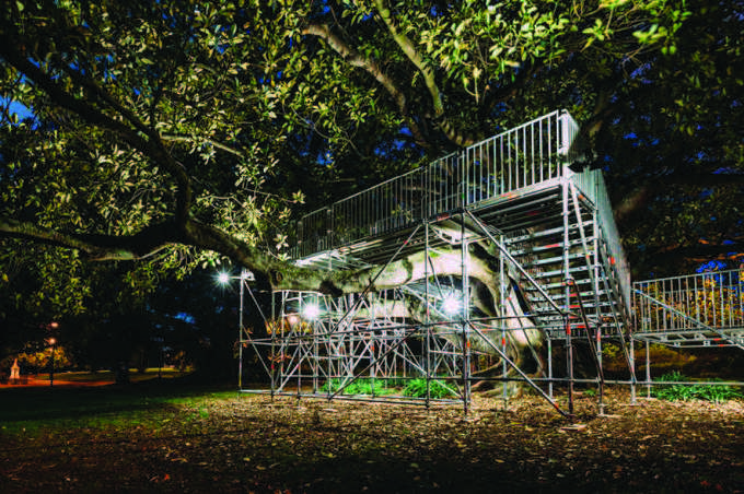 Project offers unique bird’s eye view of Albert Park (1)