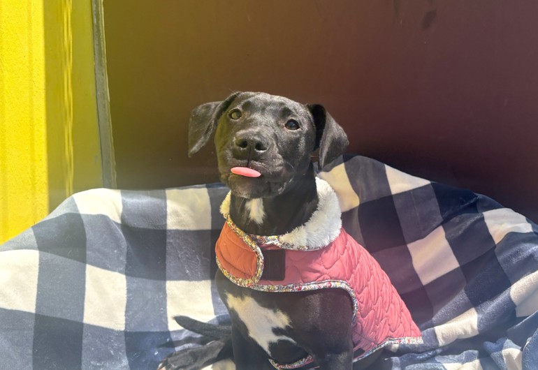 Image 2026 02 15T142938.985