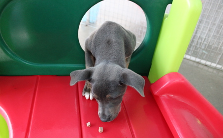 Tongariro (ON HOLD) tile image