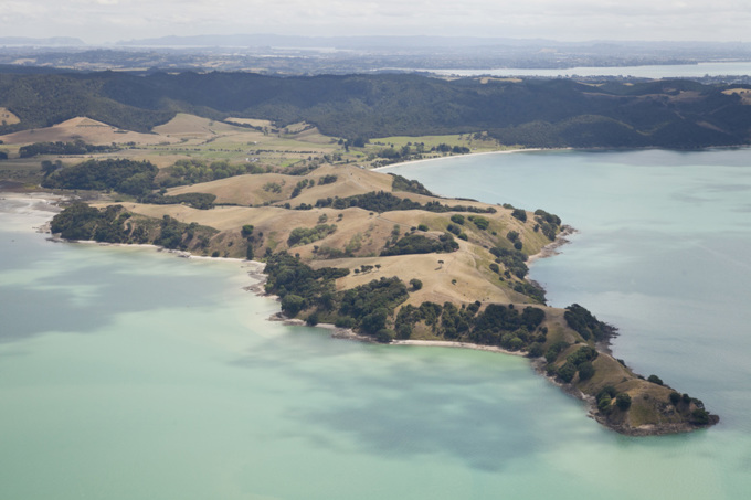Breathing new life into Ambury Farm Day (2)