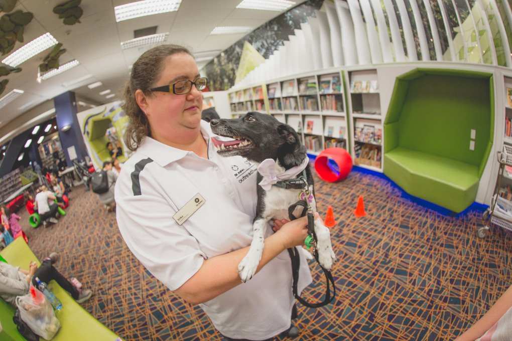 REading to Dogs 2