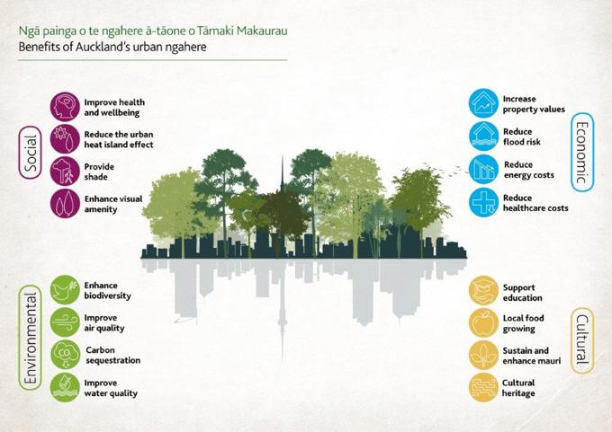 Knowing, growing and protecting - a flourishing urban forest for Auckland (1)