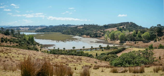 Mahurangi Regional Park 5