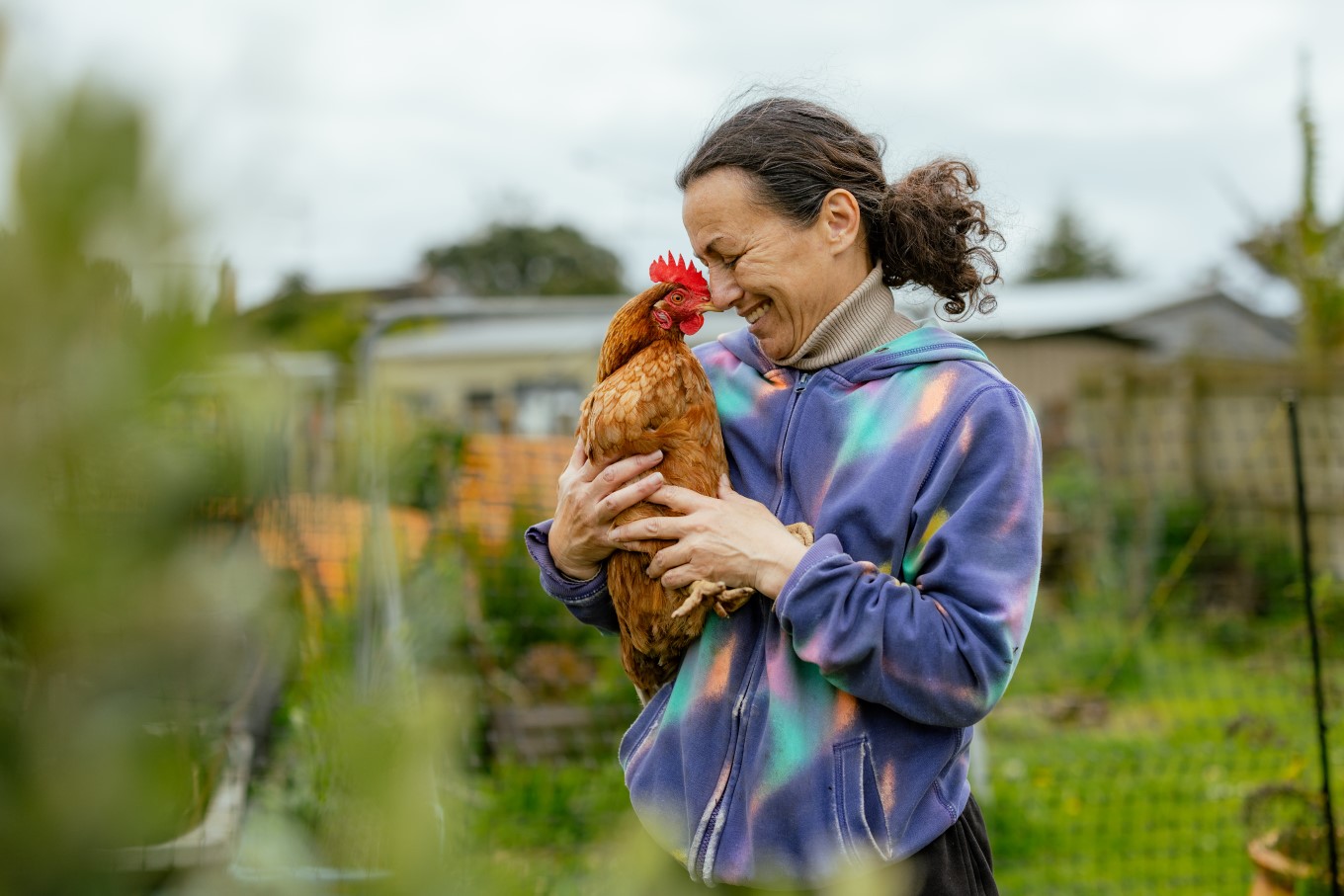 Happy Point England resident Jackie Pihama is a happy chicken owner thanks to social enterprise Rakau Tautoko.