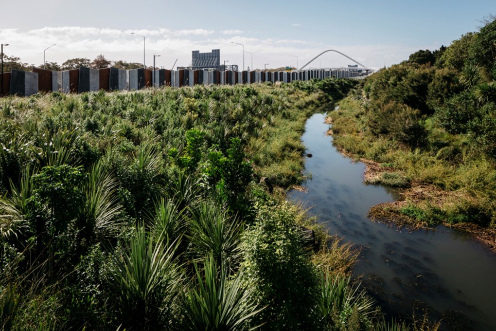 Māngere local creek