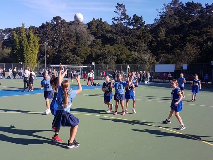 Glenfield College Netball Courts 2 (1)