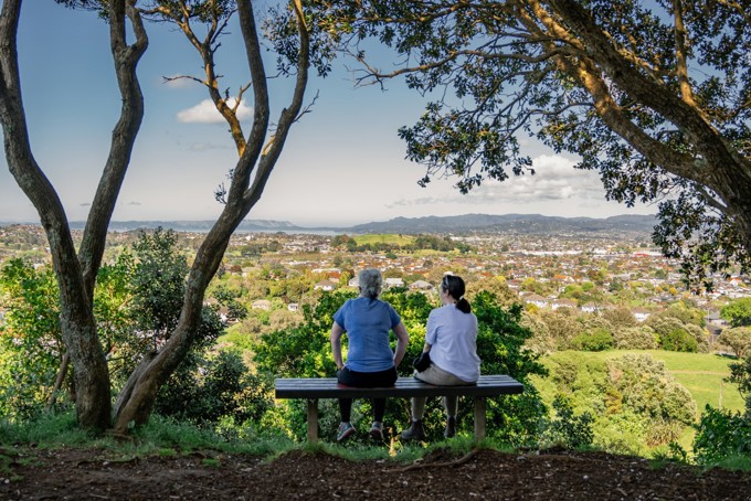Caring For Our Maunga Image 3