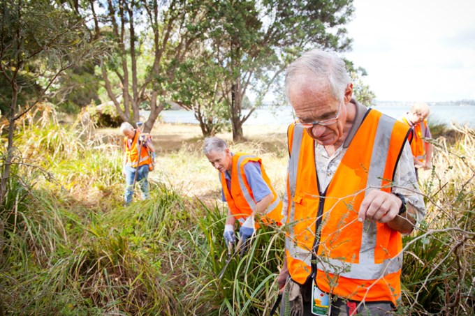 Tips for starting your own pest-control group in Auckland