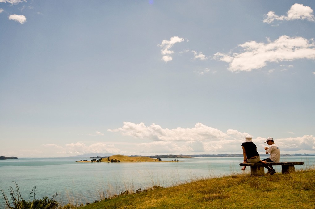 Auckland Council takes back control of Motukorea/Browns Island