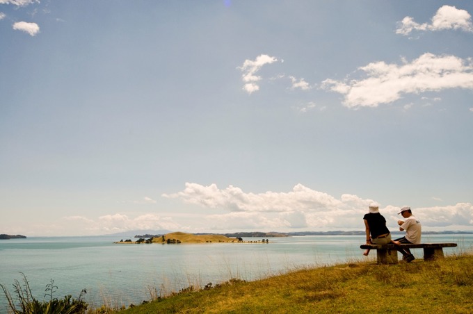 Auckland Council takes back control of Motukorea/Browns Island