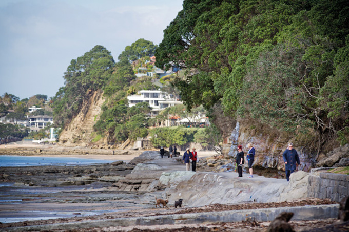 Beautiful walks in Upper Harbour