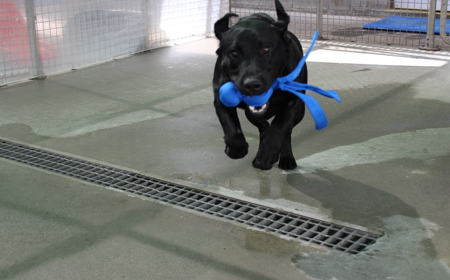 Batman (ON HOLD) tile image