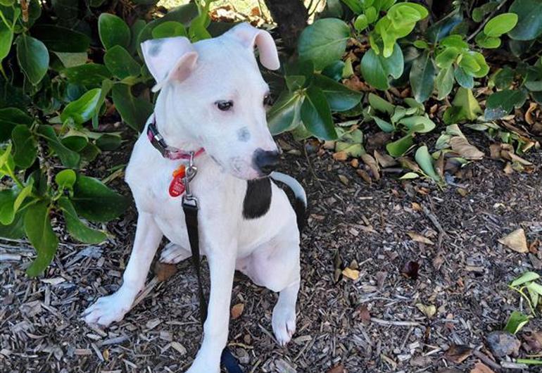 7770A45b 51D2 4Bc3 9147 Ce6c4519ea1d